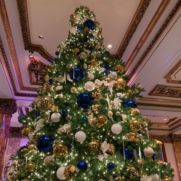 Meet your Posher, Lisa - Picture 1 of 1